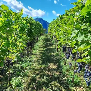 Alloggio per agriturismo Cascina Teresina, Veleso
